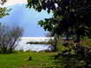 Angera am Lago Maggiore
