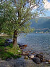Ortautunno am Lago Maggiore