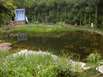 Naturpool