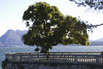 Lago Maggiore
