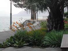 Brissago