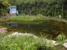 Naturpool