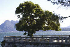 Lago Maggiore