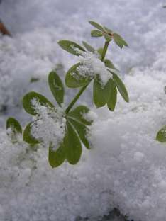 Winter- und Skiurlaub am Lago Maggiore