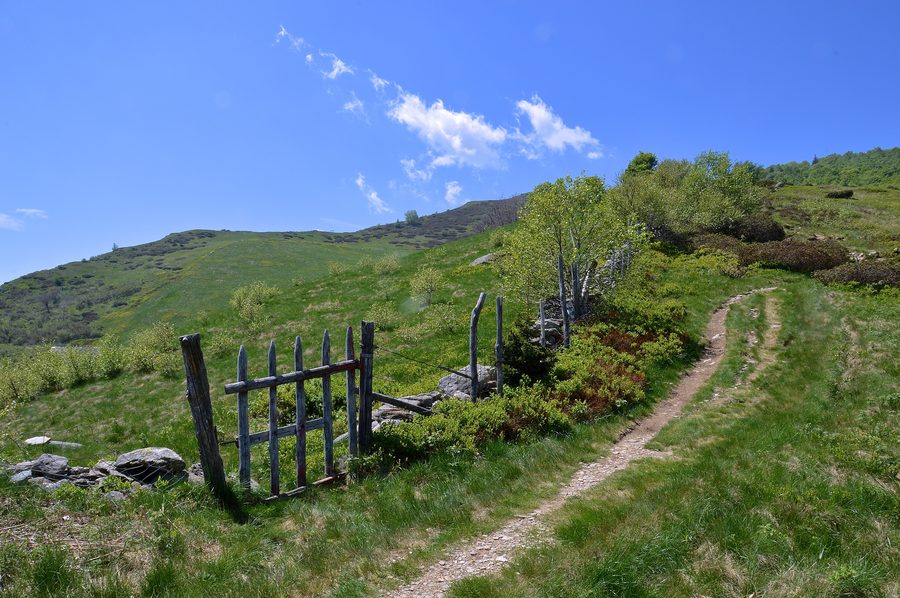 Alpe di Naccio in den Monti di Ronco bei Ascona