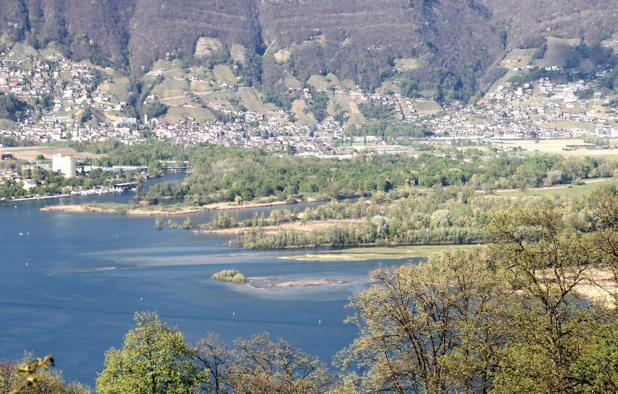 Landschaft des Deltas Bolle di Magadino im Tessin mit Wasserflächen und Ufervegetation