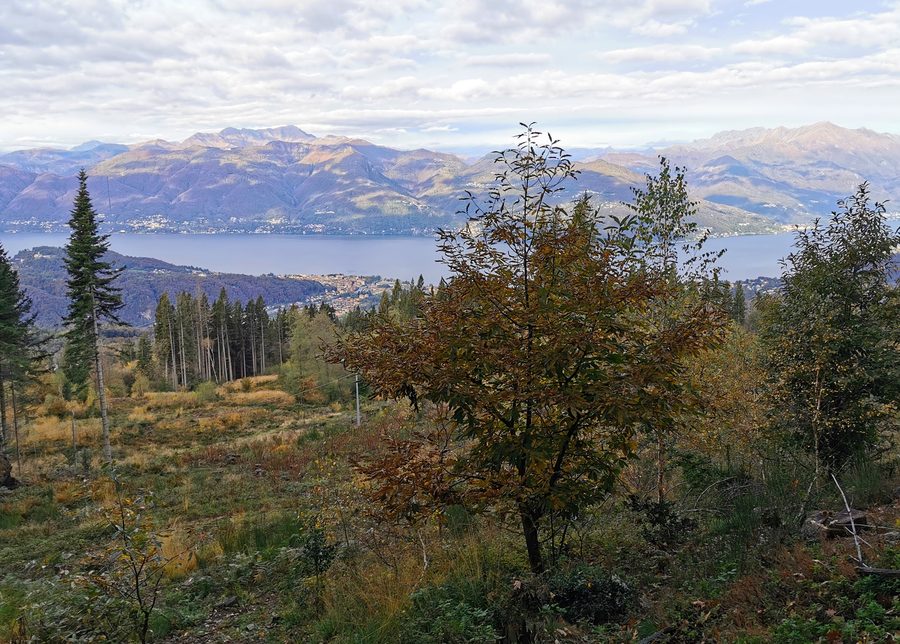 Blick vom Wanderweg zum Monte Sette Termini auf den Lago Maggiore