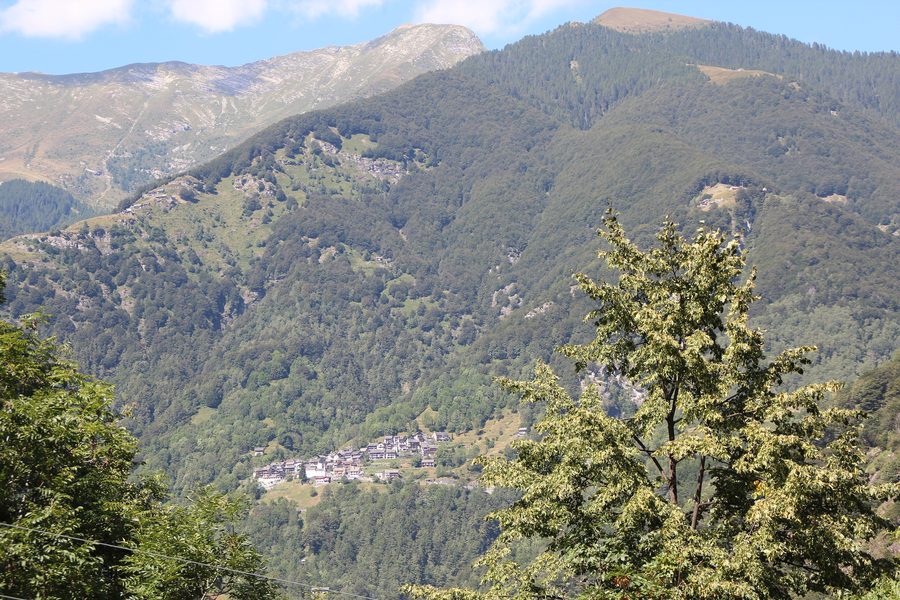 Ansicht von Gresso im Tessin