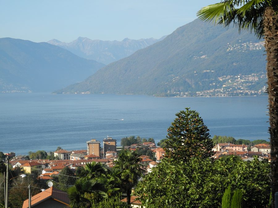 Blick auf Germignaga am Lago Maggiore